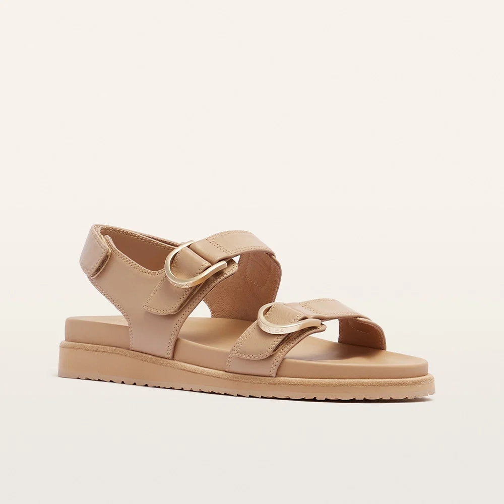 Frankie 4 Thompson II Camel