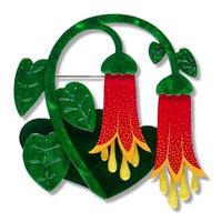 Erstwilder Common Correa Brooch