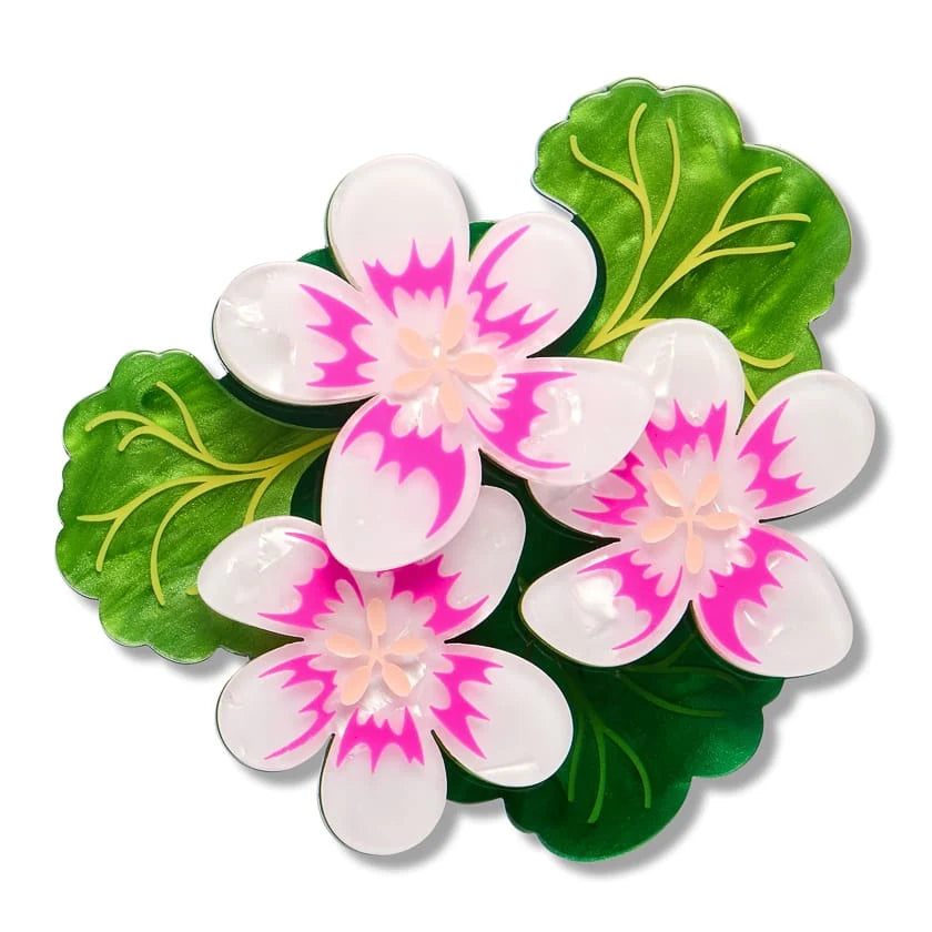 38825f3f-4090-45db-b095-5d70a40e527e.webp