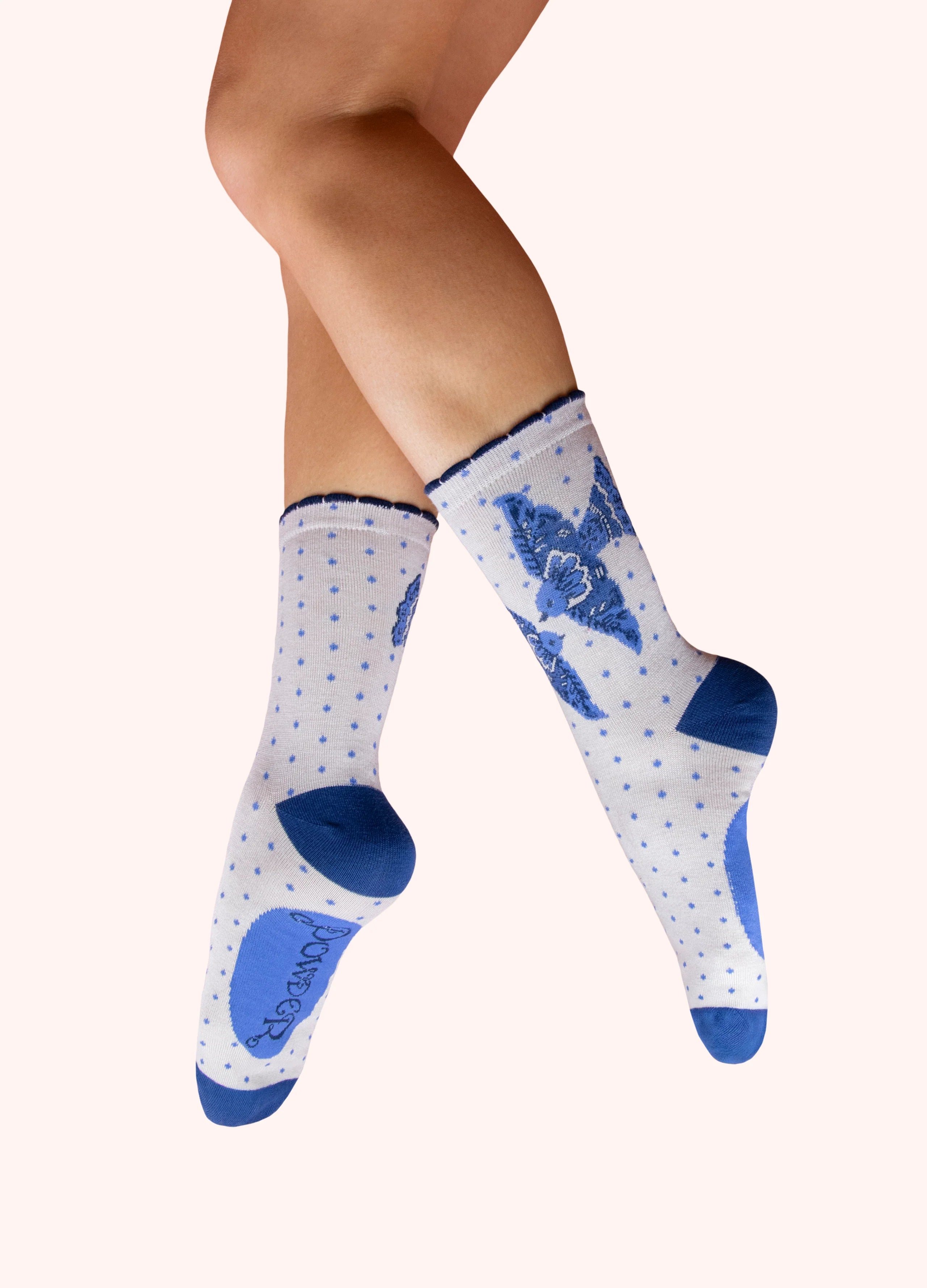 Blubirdsock.webp
