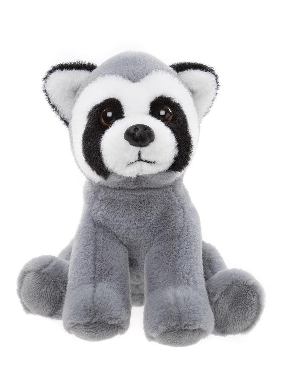CBRaccoon.jpg