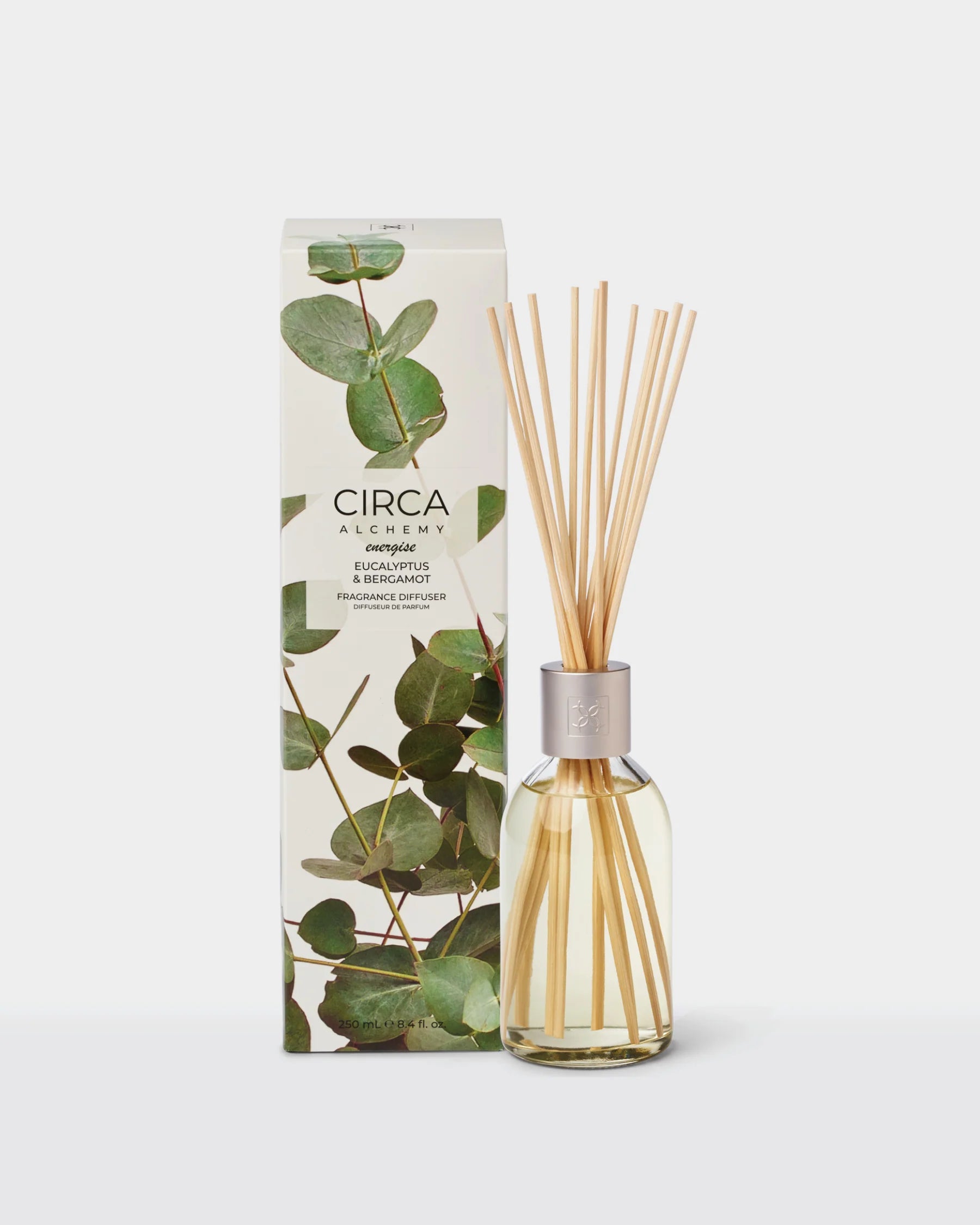 CircaEucalyptusdiffuser.webp
