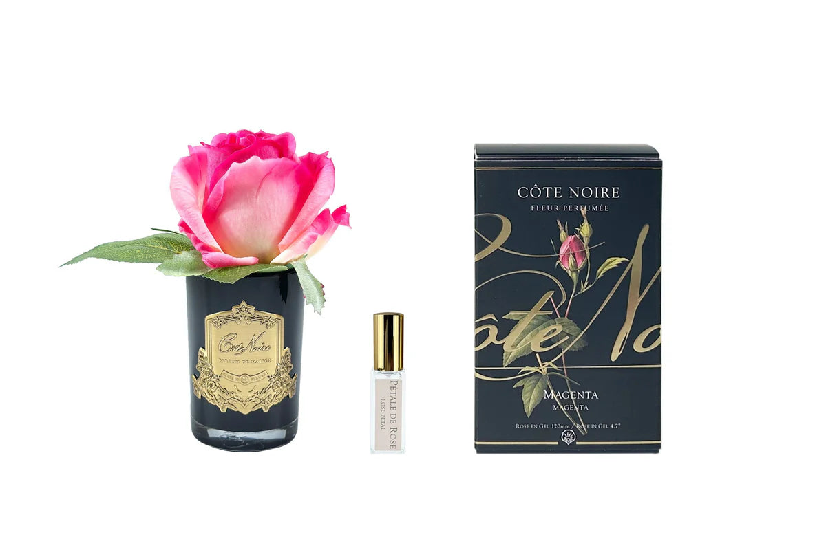 COTE NOIRE Single Pink Rose Magenta