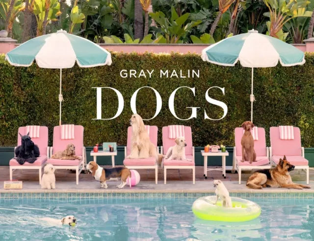 Dogs_gray.webp