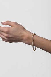 Dolce Vita Soft Gold Cz Blet Bracelet