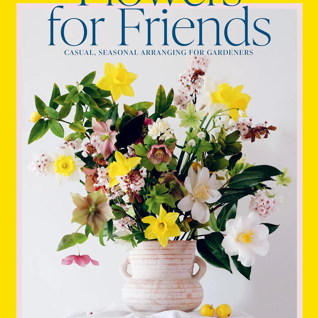 FlowersforFriends_1080x_ef29ea75-4a05-4666-b634-2f5a098d3bd7.webp