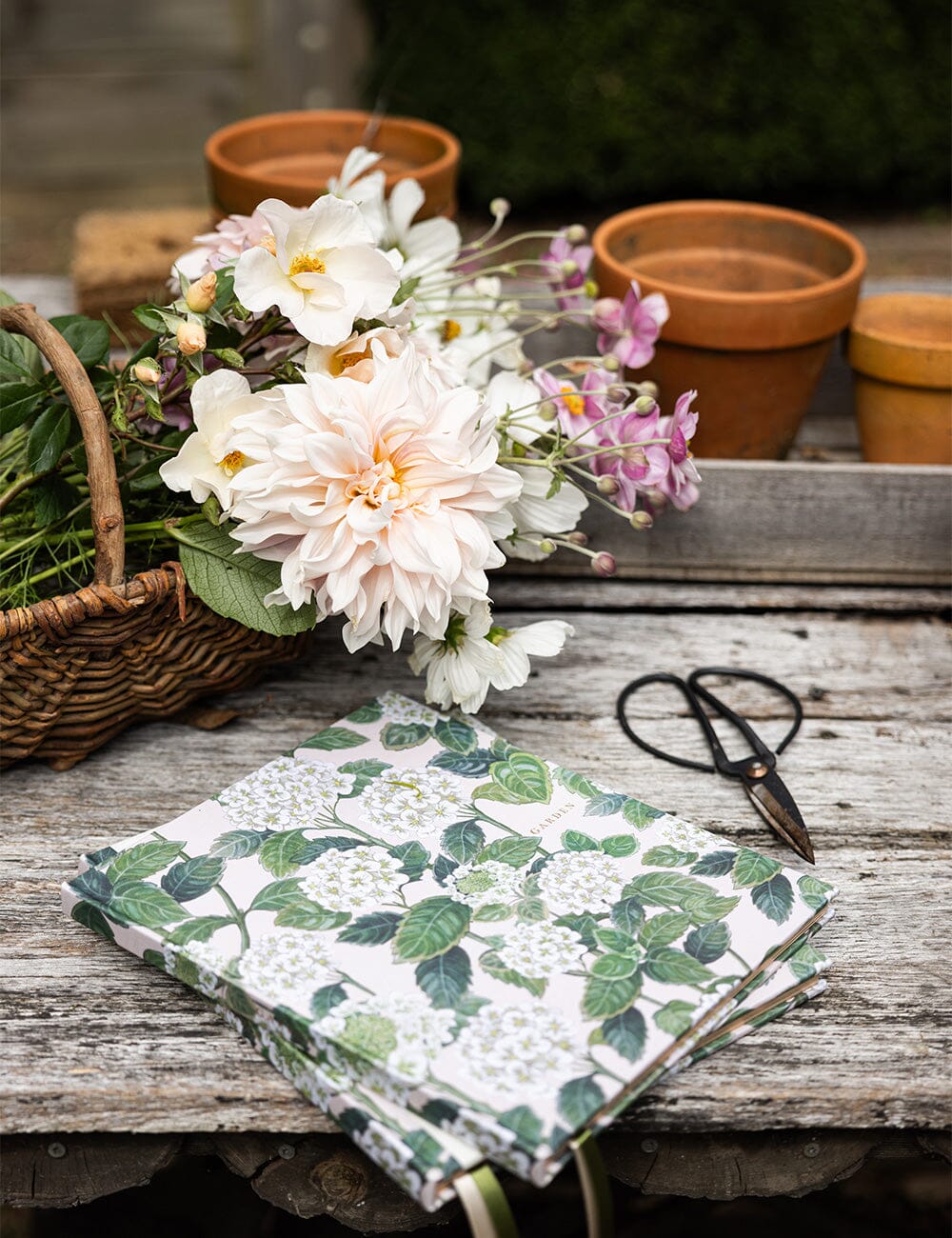 Gardening-Journal_Hydrangea.jpg