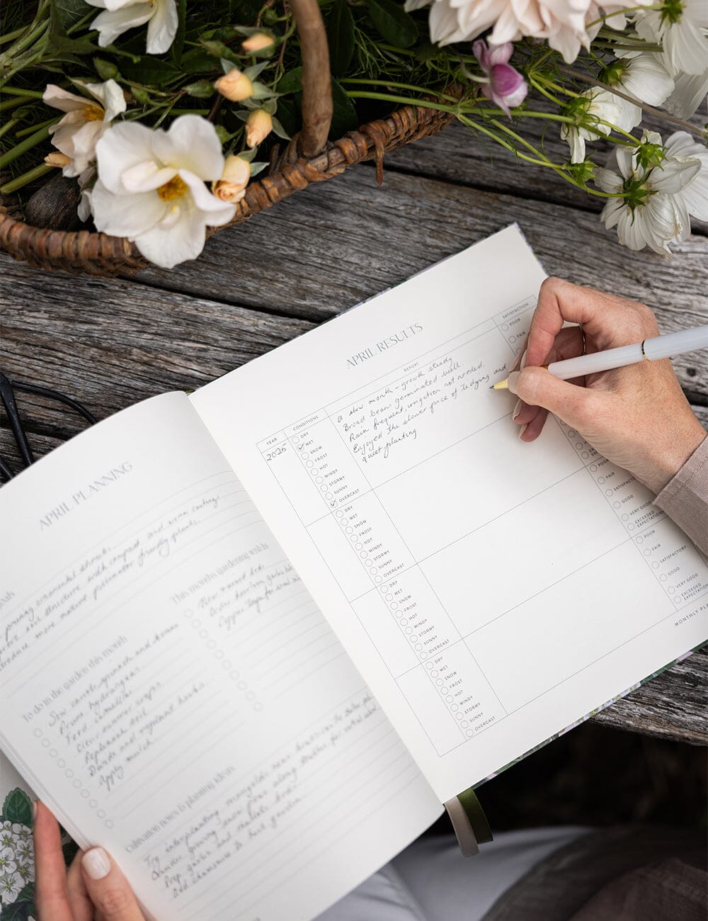 Gardening-Journal_Hydrangea_32.jpg