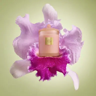 Glasshouse_Fragrances_380g_Candle_-_Radiance_In_Bloom_04.webp