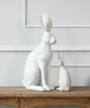 Harold the Hare White