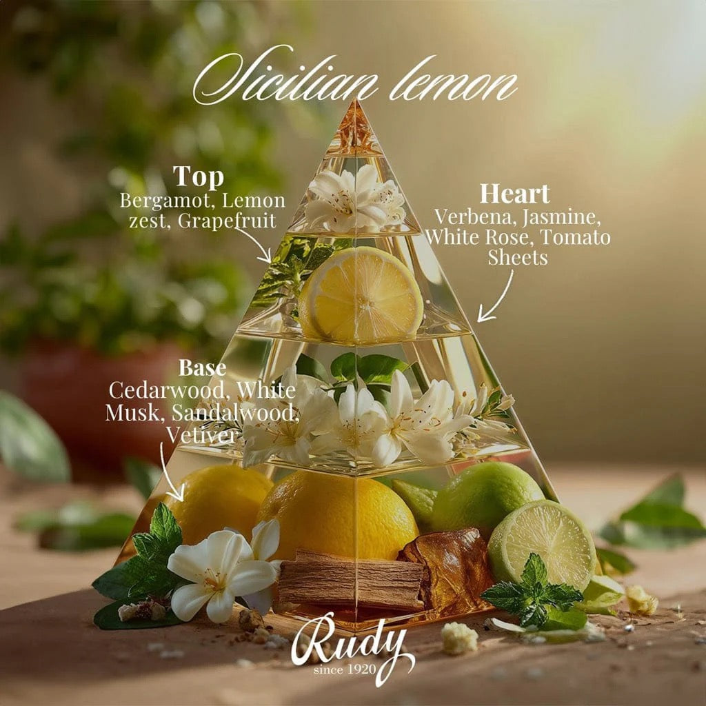 Image519.jpg