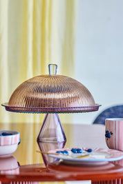Tayo Cake Tray with Dome Multi Glass