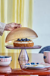 Tayo Cake Tray with Dome Multi Glass