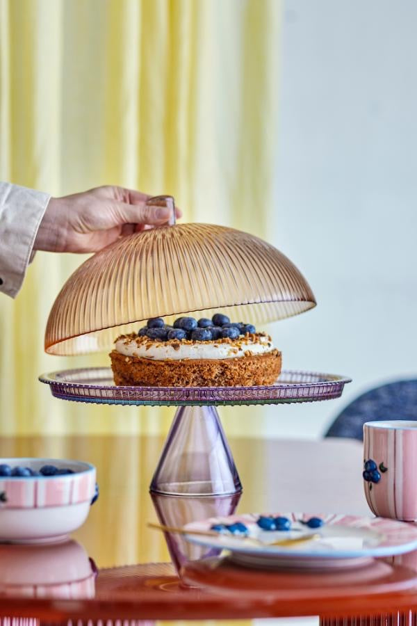 Tayo Cake Tray with Dome Multi Glass