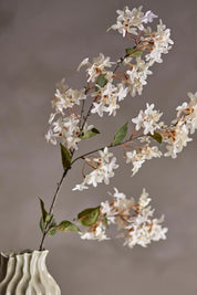 Myrtle Stem White D20xH100 cm