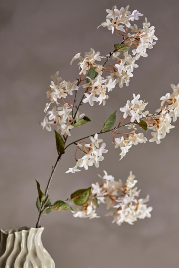 Myrtle Stem White D20xH100 cm