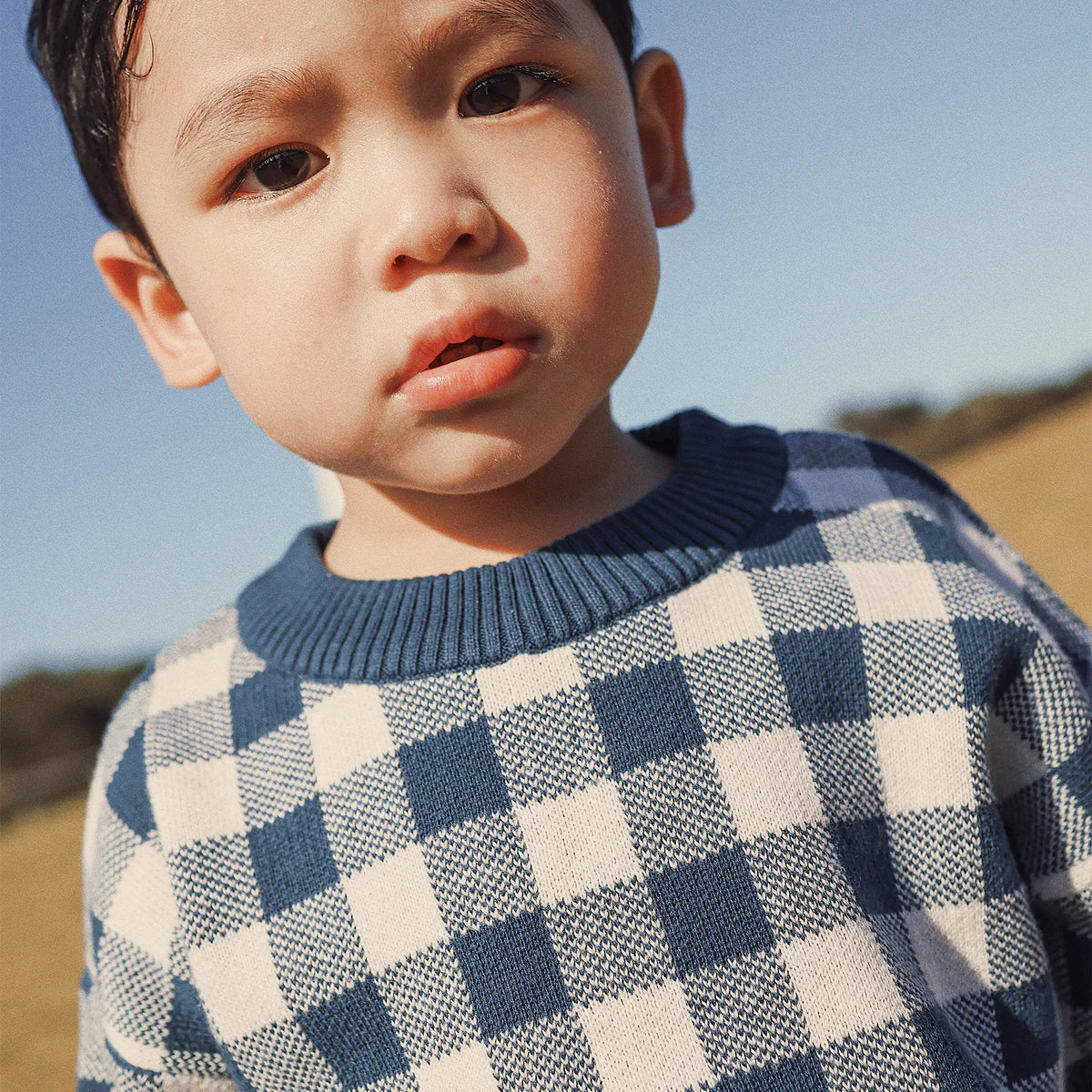 KBNavyginghamknit.webp