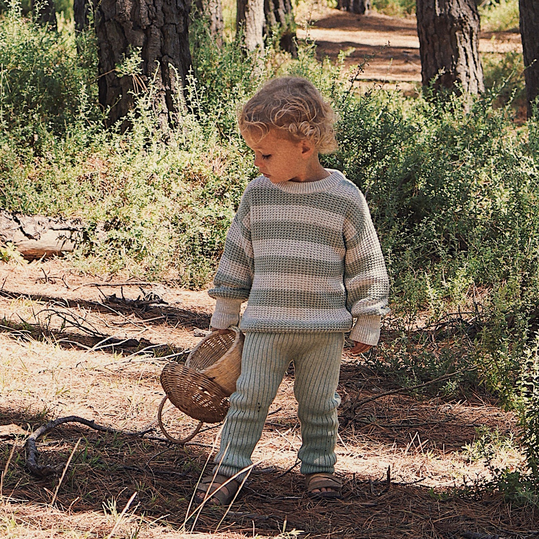 Kynd Baby Chunky Rib Knit Pant - Olive