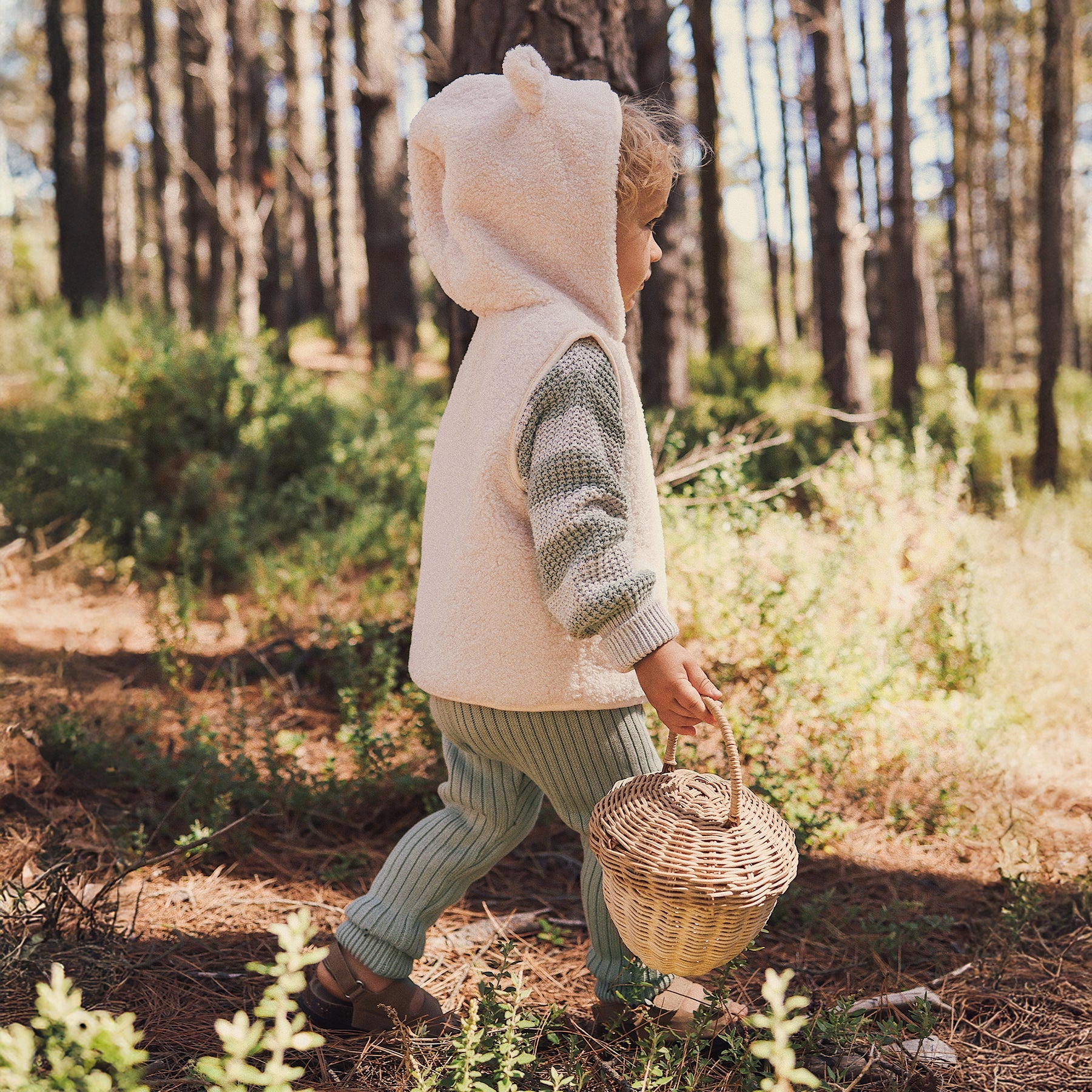 Kynd Baby Chunky Rib Knit Pant - Olive