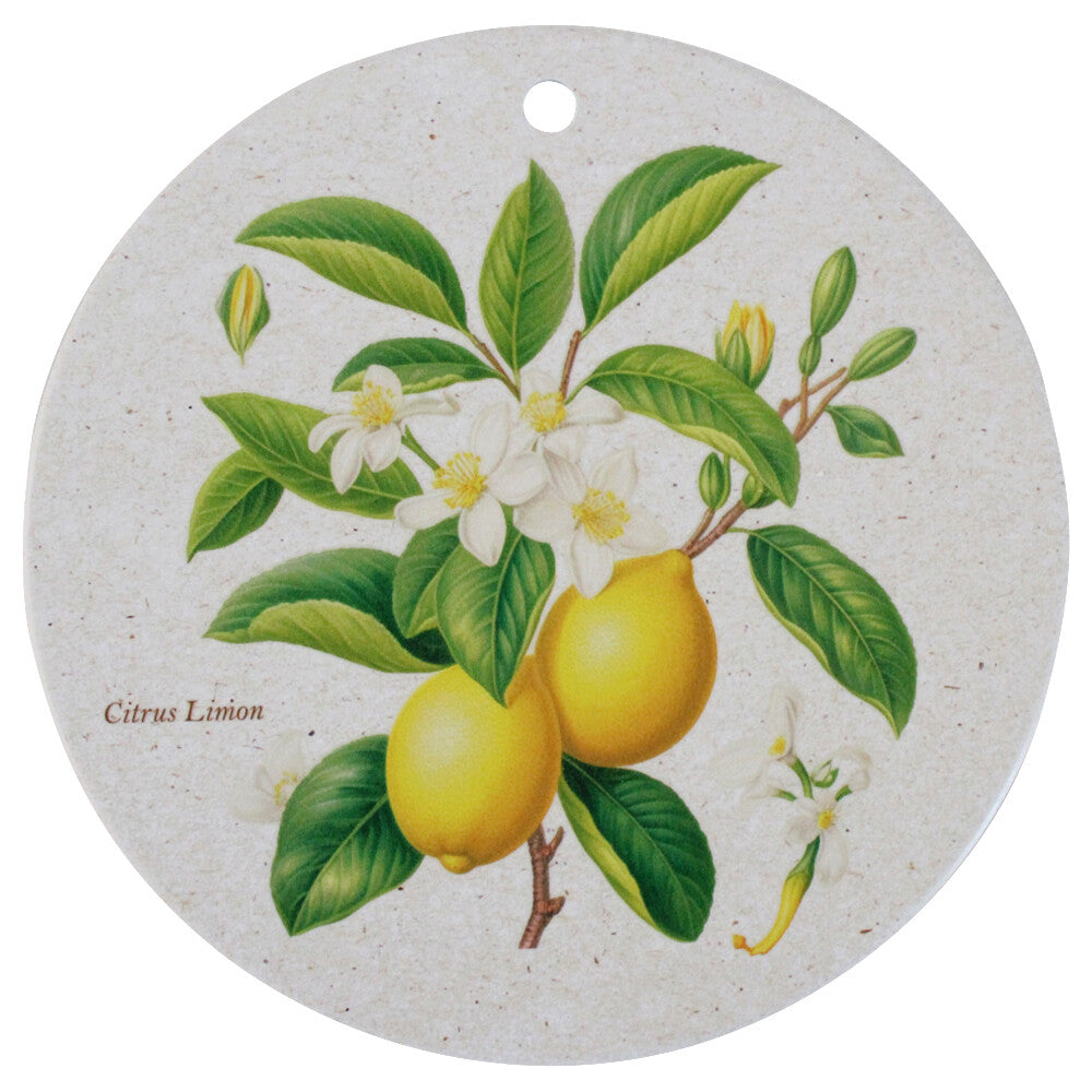 Lavidawallplaquelemon.jpg