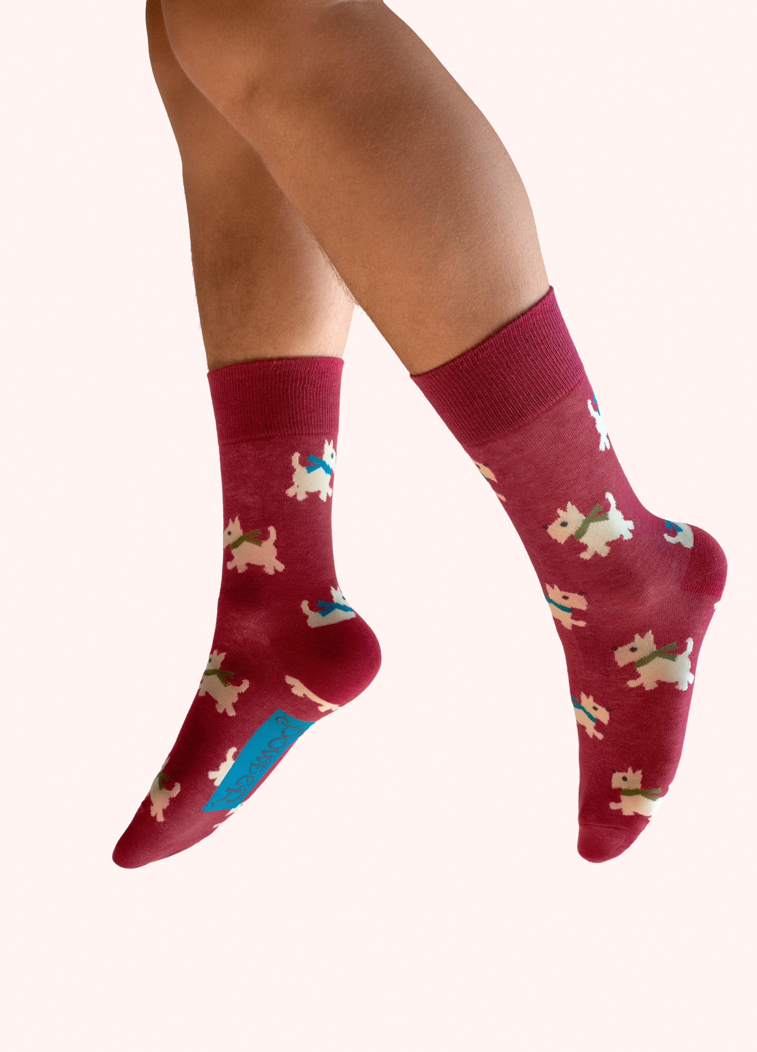 Powder socks Westie