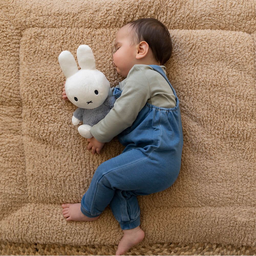 Miffy_blue2.jpg