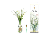 Cote Noire Provence Tulips White