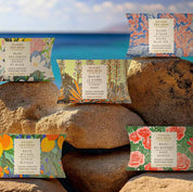 Panier des Sens Sierra Wood Boxed Soap