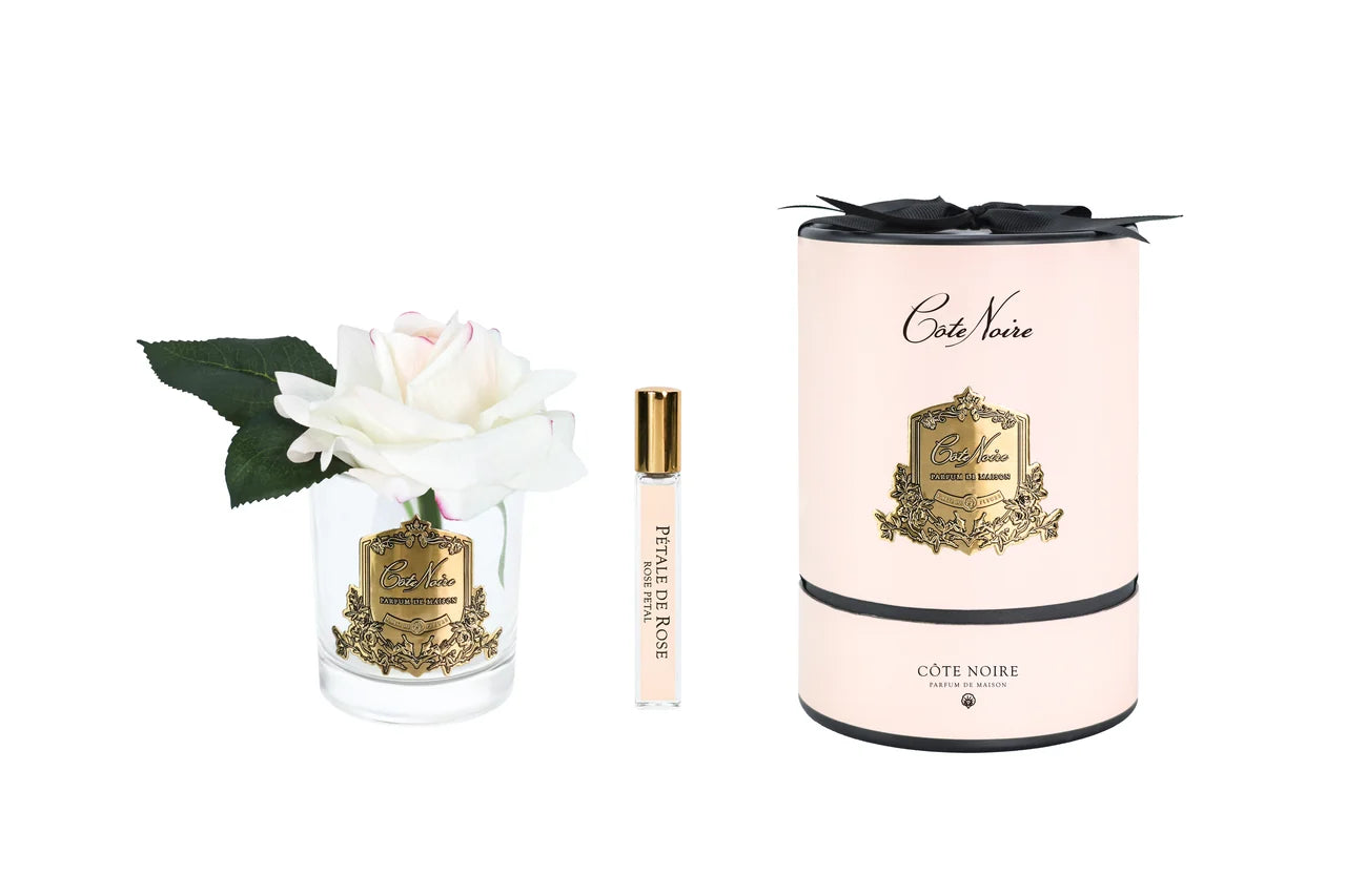 Pink Blush Single Rose. Clear Glass in Gold/Pink Box