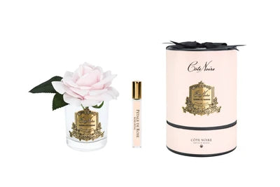 Cote Noire - French Rose in French Pink - Gold/Pink Box