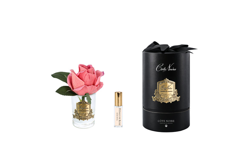 Cote Noire peach Rose Bud in clear glass with black and gold box
