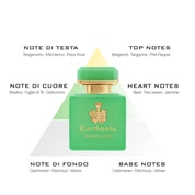 Carthusia Intenso di Basilico perfume with fragrance pyramid highlighting top notes of bergamot, tangerine, pink pepper, heart notes of basil, tea leaves, jasmine, and base notes of cashmeran, patchouli, vetiver.