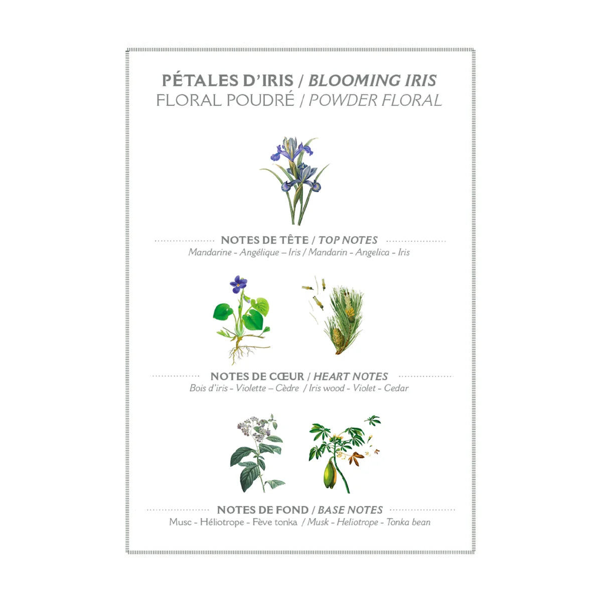 Panier des sans Blooming Iris Roll-On EDT