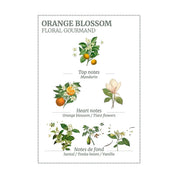 Panier des sans Orange Blossom Liquid Soap 500ml