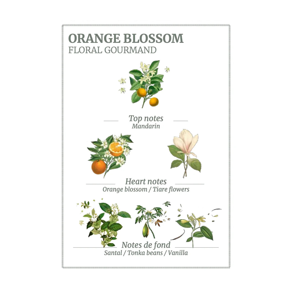 panier-des-sens-orange-blossom-roll-on-edt-624194513.webp