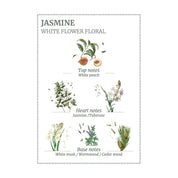 Panier des sans Precious Jasmine Roll-On EDT