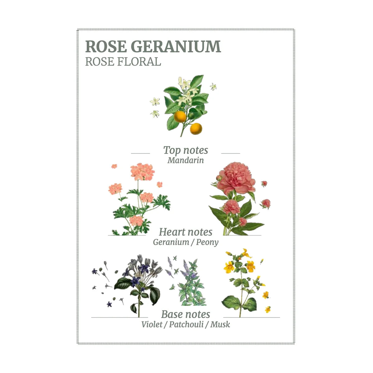 Panier des sans Rose Geranium Roll-On EDT