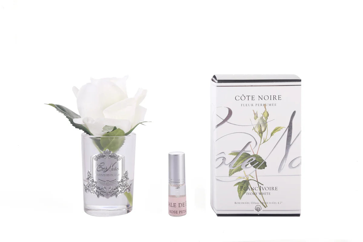 rose_bud_ivory_white_clear_glass_with_box_1200x_abaf09db-ff1a-4c36-8f0a-f3f2367ef7f9.webp